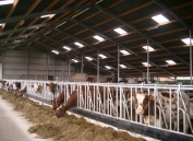 agri 1.4